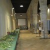 mostra 2007